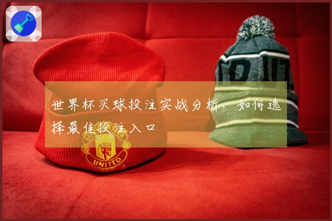 世界杯买球投注实战分析，如何选择最佳投注入口