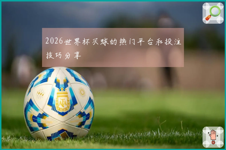 2026世界杯买球的热门平台和投注技巧分享