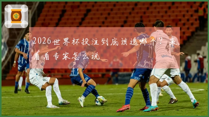 2026世界杯投注到底该选哪个？来看看专家怎么说