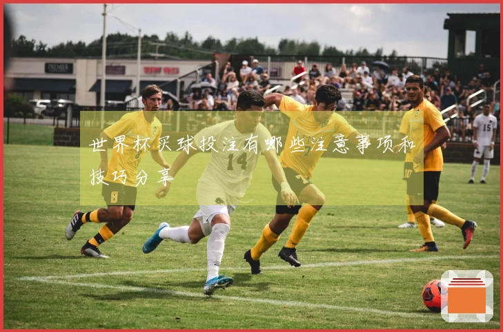 世界杯买球投注有哪些注意事项和技巧分享