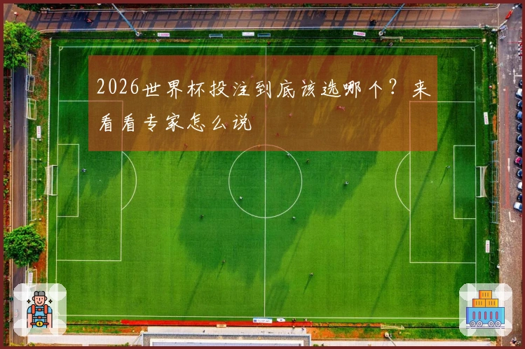 2026世界杯投注到底该选哪个？来看看专家怎么说