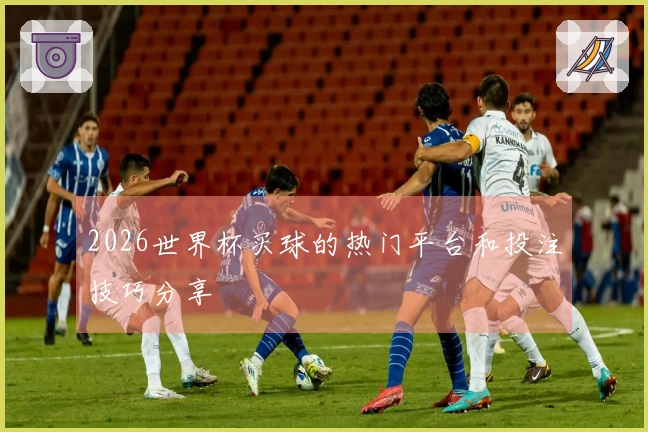 2026世界杯买球的热门平台和投注技巧分享