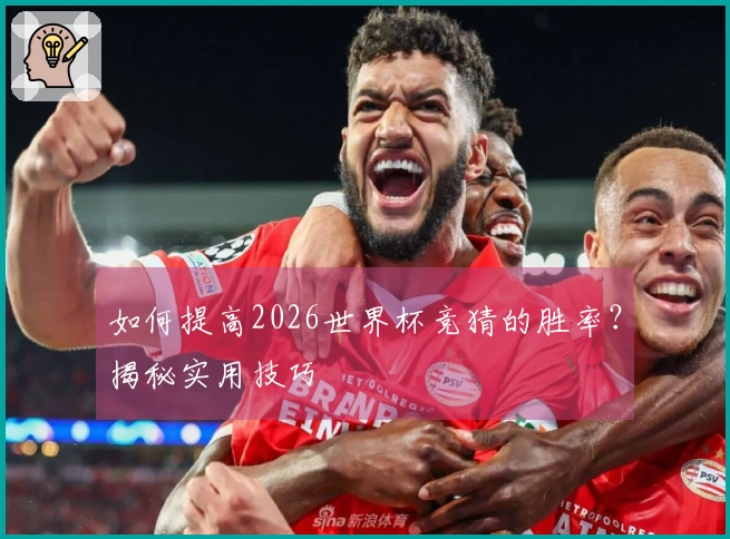 如何提高2026世界杯竞猜的胜率？揭秘实用技巧