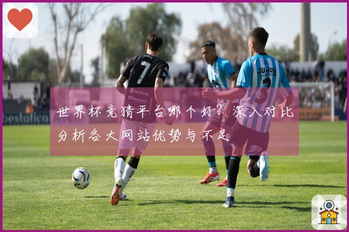 世界杯竞猜平台哪个好？深入对比分析各大网站优势与不足