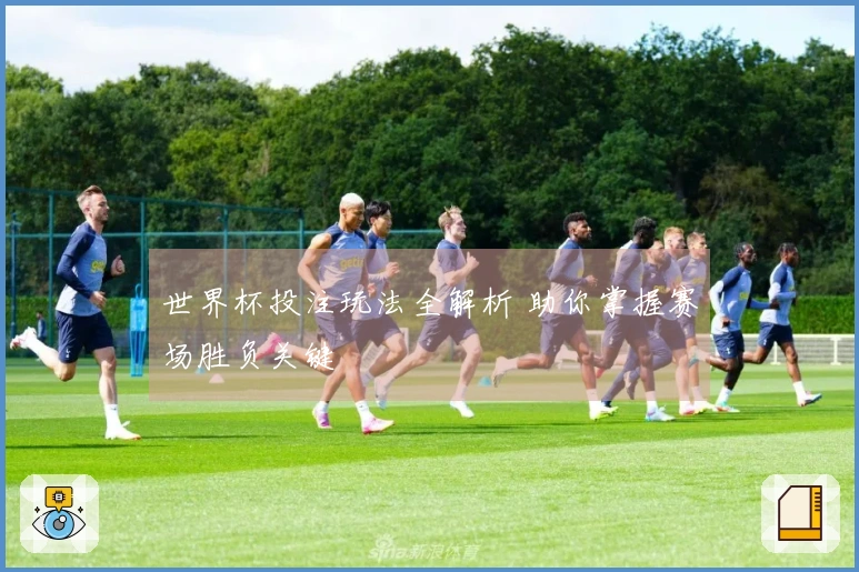 世界杯投注玩法全解析 助你掌握赛场胜负关键