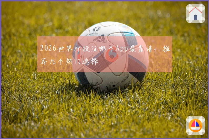 2026世界杯投注哪个App最靠谱，推荐几个热门选择
