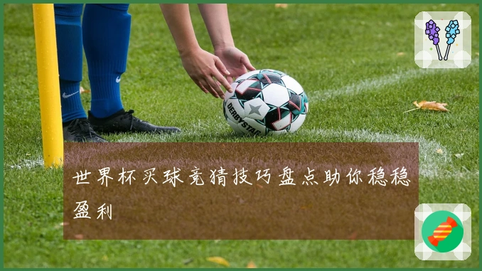 世界杯买球竞猜技巧盘点助你稳稳盈利