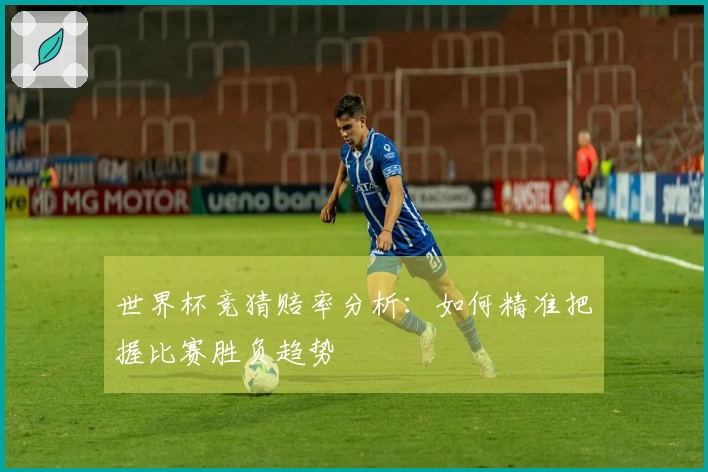 世界杯竞猜赔率分析：如何精准把握比赛胜负趋势