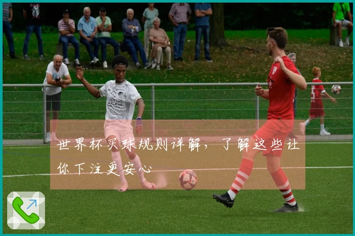 世界杯买球规则详解，了解这些让你下注更安心